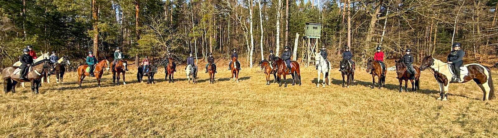 Bild mit Pferden und Reitern im Wald